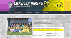 Desktop Screenshot of crawleywasps.com