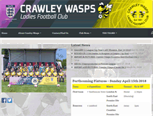 Tablet Screenshot of crawleywasps.com